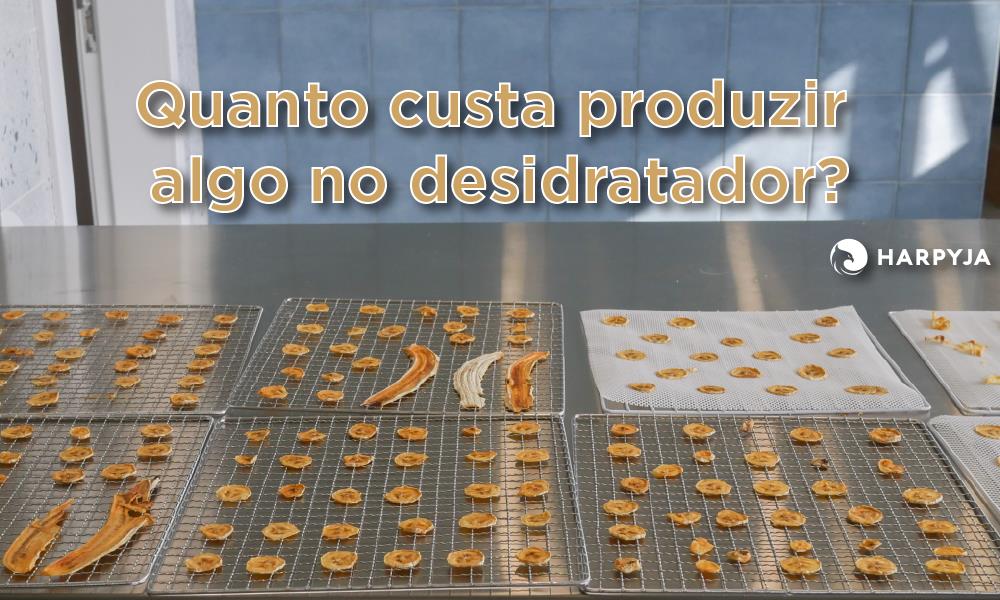 post Quanto custa desidratar alimentos?